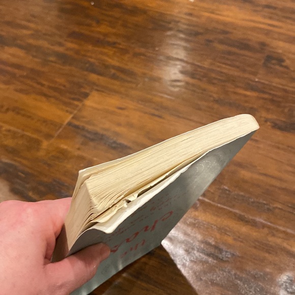 2 Christian Dating & Intimacy Books | Trusting God with Your Happily Ever After - Picture 12 of 13